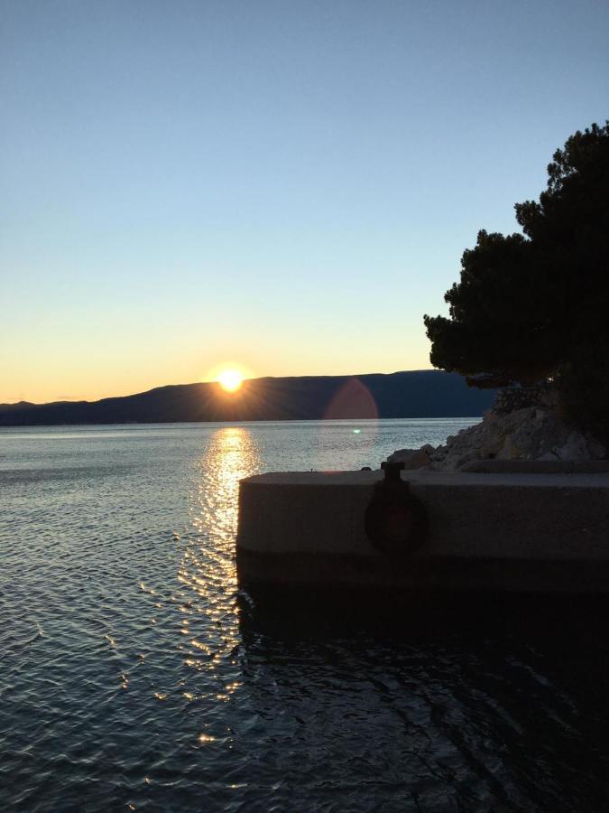 Kuca Za Odmor Bebic, Kremena Villa Klek Bagian luar foto